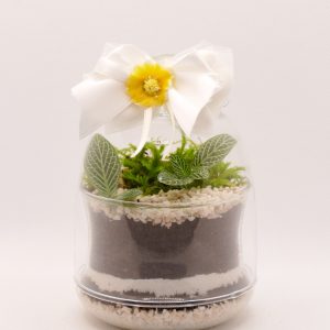 Terrarium bomboniera a forma di campanella