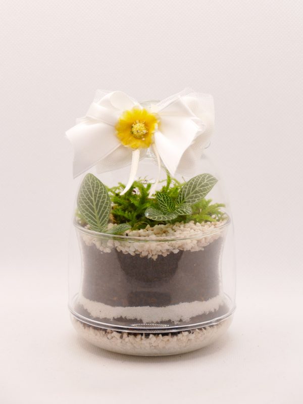 Terrarium bomboniera a forma di campanella